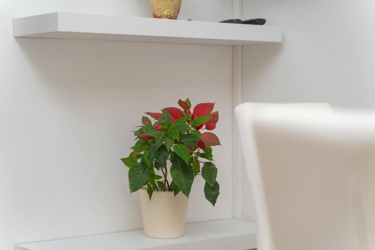 Apartments Divanovic Dubrovnik Luaran gambar